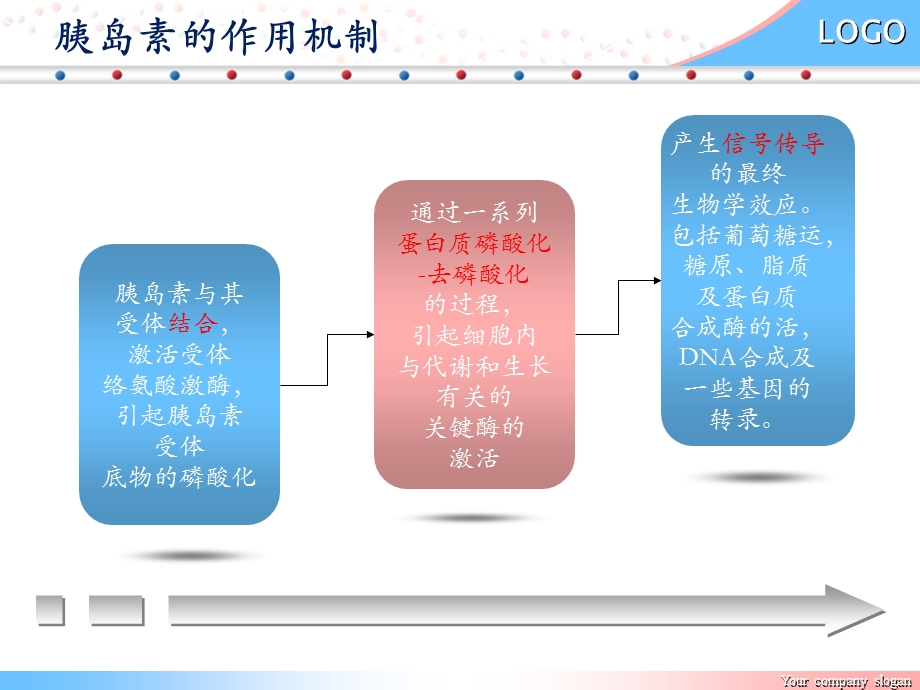 《胰岛素作用机制》PPT课件.ppt_第2页