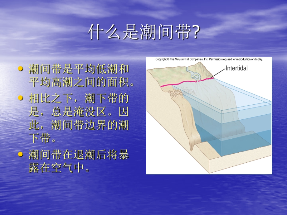 《潮间带生物》PPT课件.ppt_第2页