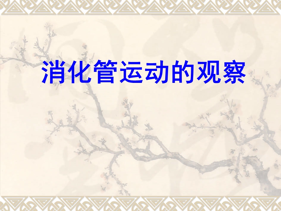 《消化管的运动》PPT课件.ppt_第1页