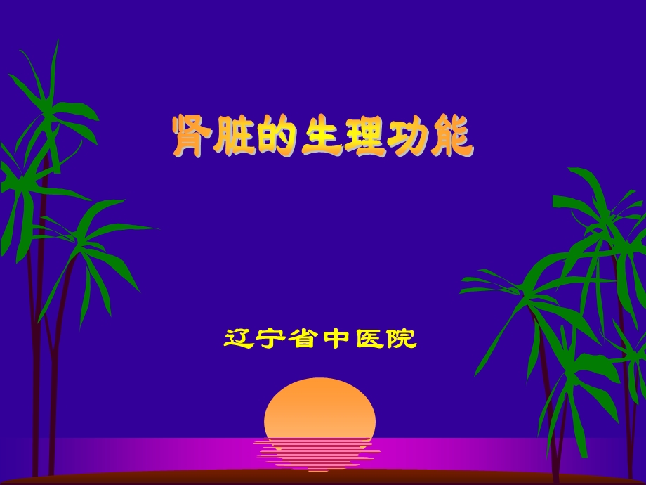 《肾脏生理功能》PPT课件.ppt_第1页