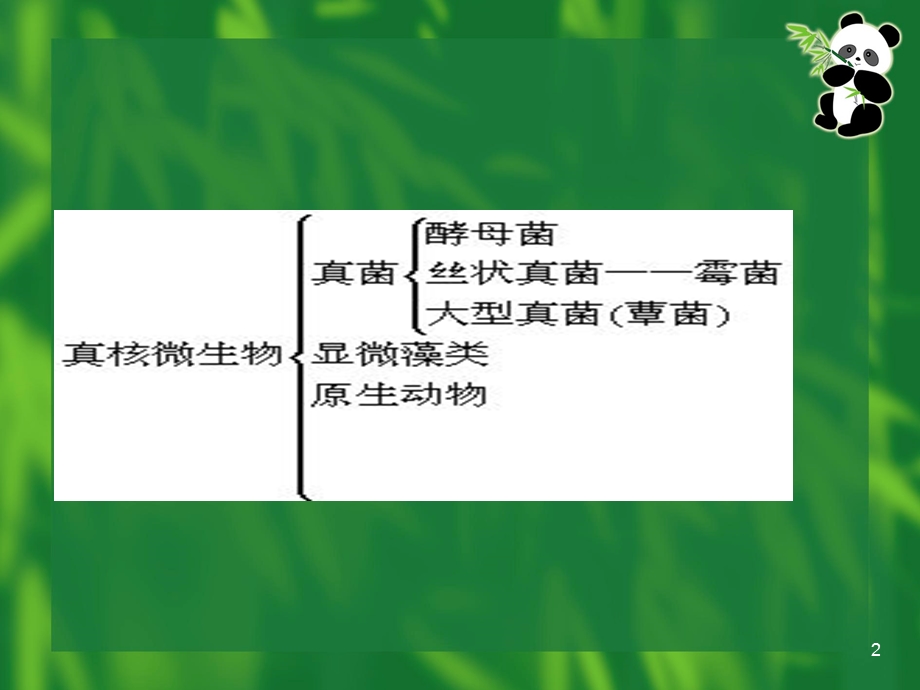 《真核微生物 》PPT课件.ppt_第2页