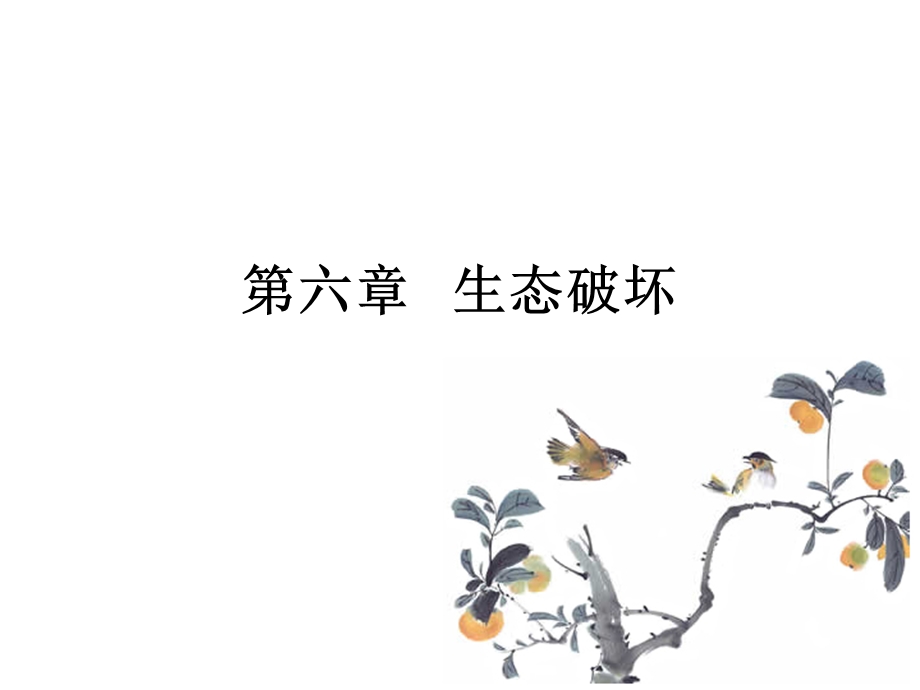 《生态破坏》PPT课件.ppt_第1页