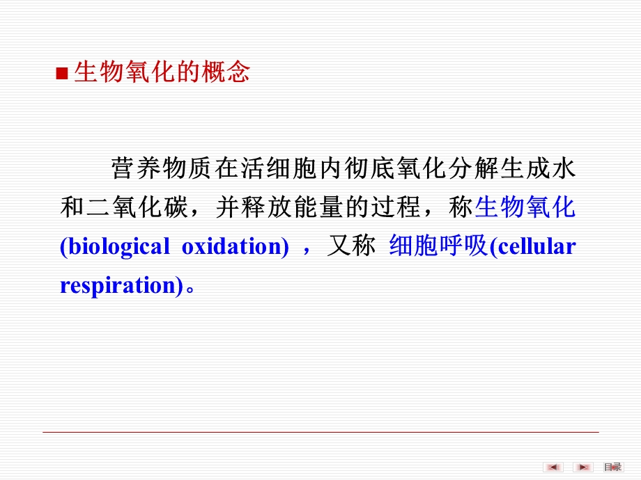 《生物化学生物氧化》PPT课件.ppt_第2页