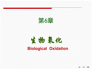 《生物化学生物氧化》PPT课件.ppt