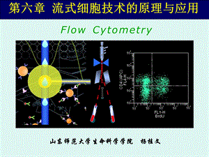 《流式细胞仪》PPT课件.ppt