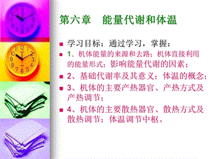 《能量代谢和体温》PPT课件.ppt