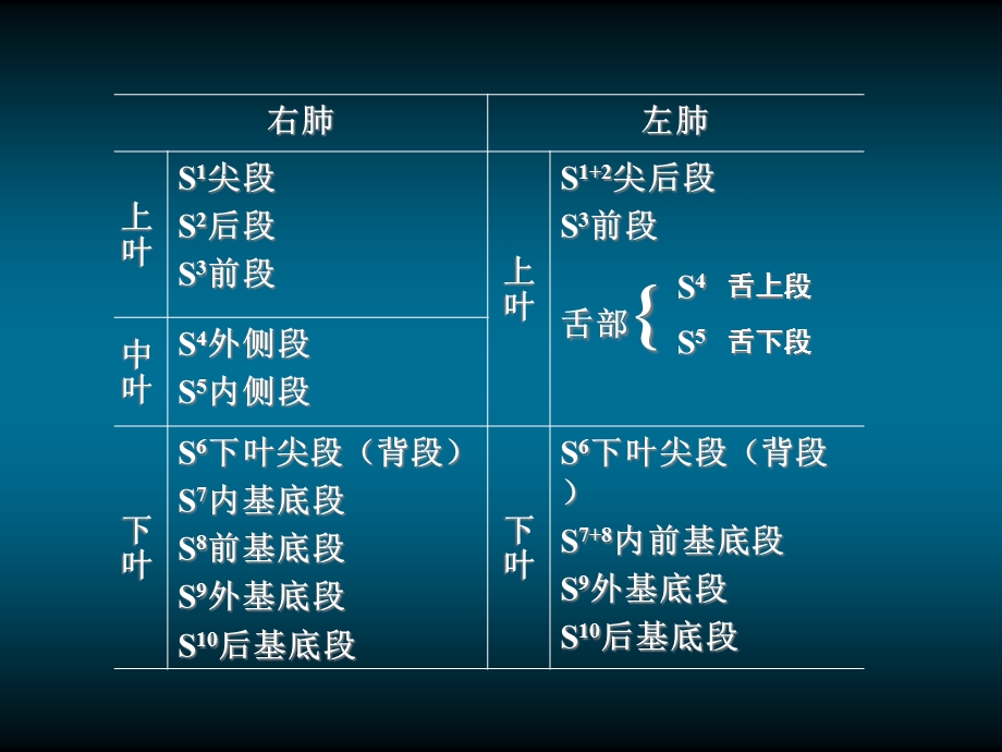 《肺的X线解剖》PPT课件.ppt_第2页