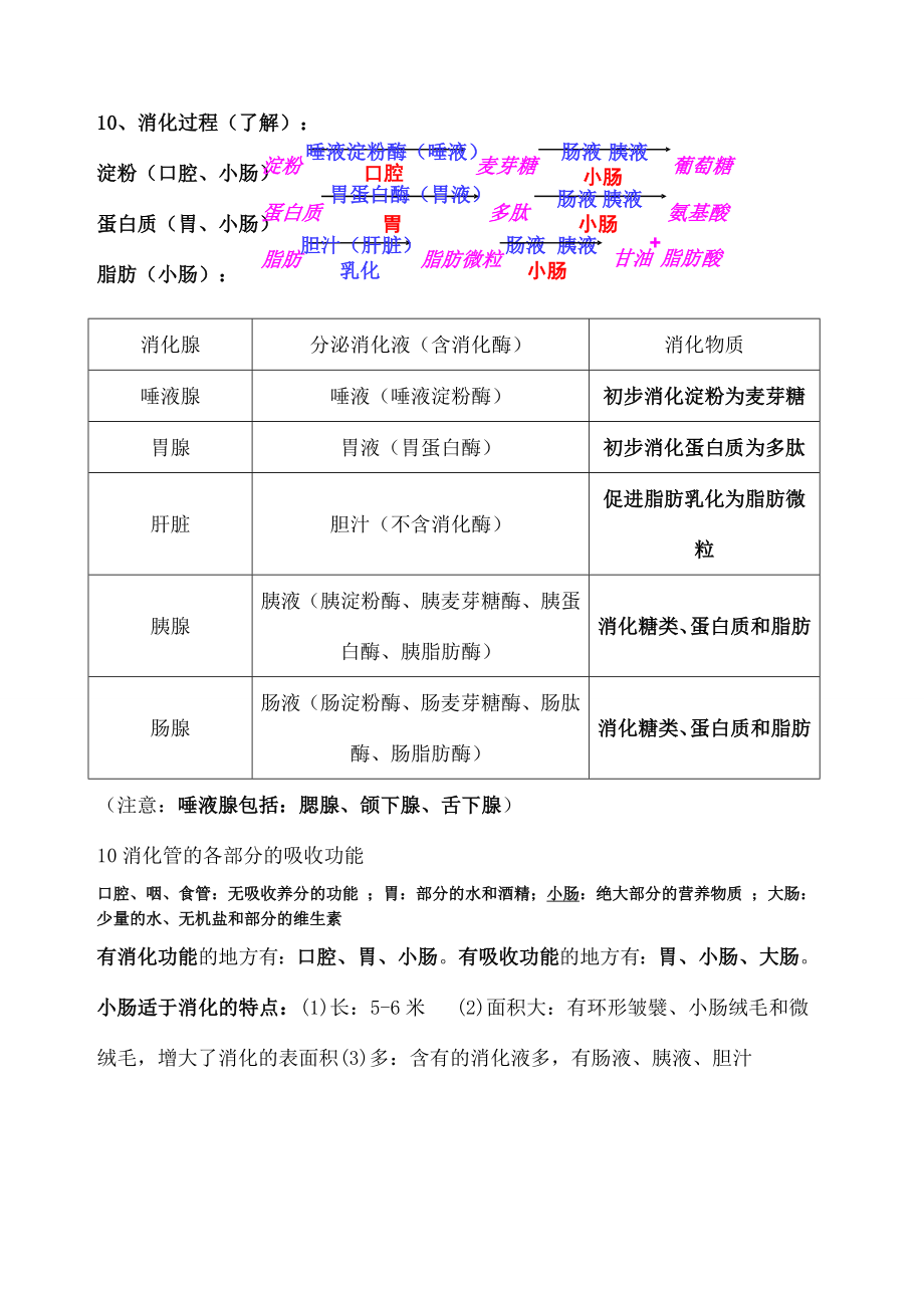 北师大版生物七年级下册知识点总结().docx_第3页