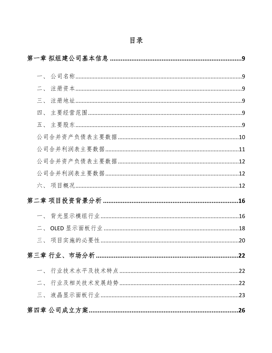 南京关于成立背光显示模组公司可行性研究报告.docx_第2页