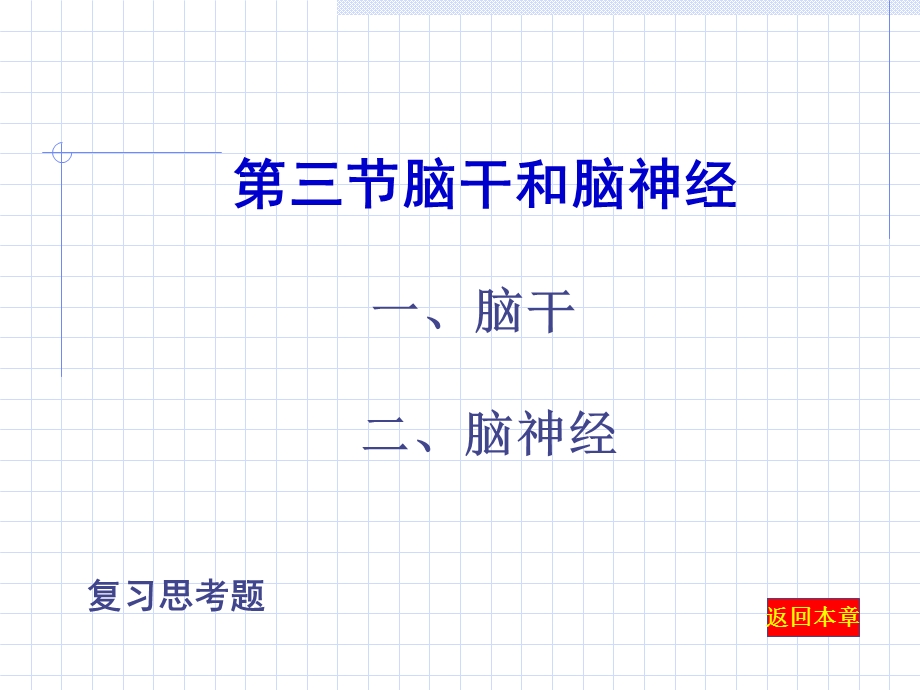 《脑干和脑神经》PPT课件.ppt_第1页