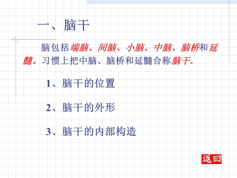 《脑干和脑神经》PPT课件.ppt_第2页