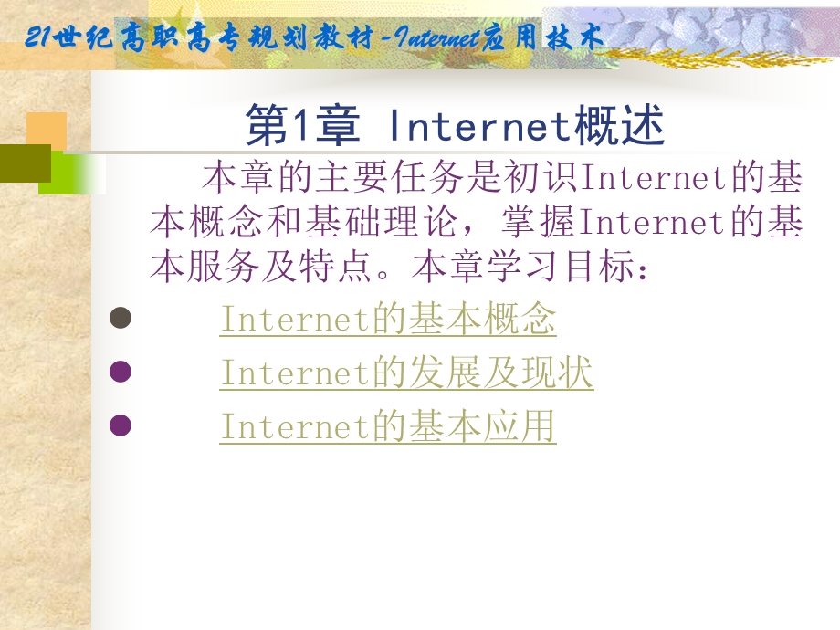 《Internet概述》PPT课件.ppt_第2页