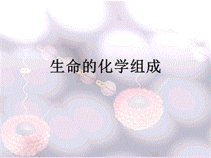 《生命的化学组成》PPT课件.ppt