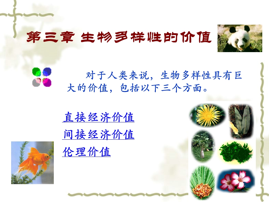 《生物多样性的价值》PPT课件.ppt_第1页