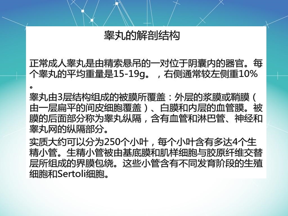 《腹内型隐睾》PPT课件.ppt_第2页