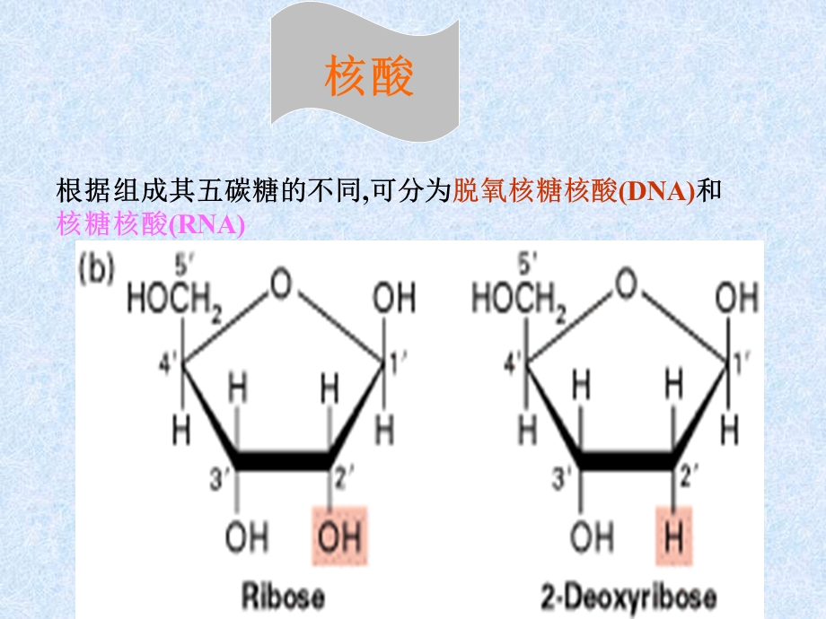 《细胞的化学组成》PPT课件.ppt_第3页