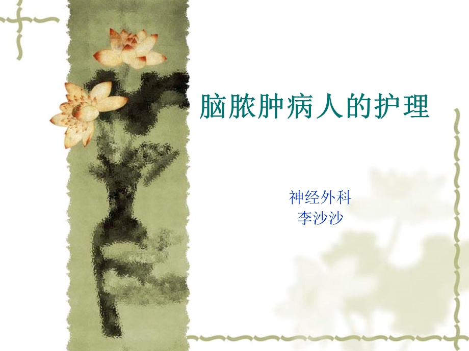 《脑脓肿病人的护理》PPT课件.ppt_第1页