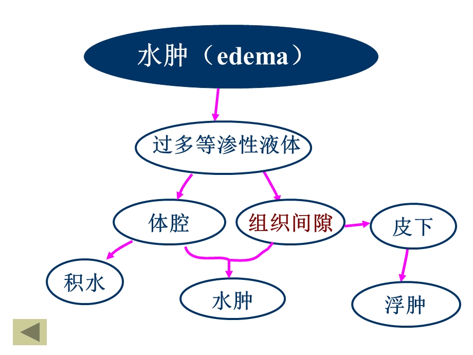 《水肿和脱水》PPT课件.ppt_第3页