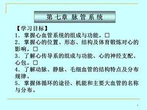 《脉管系统》PPT课件.ppt