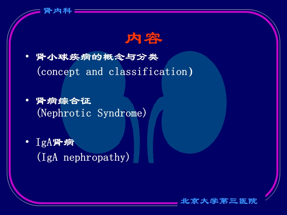 《肾小球疾病》PPT课件.ppt_第2页