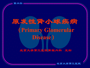 《肾小球疾病》PPT课件.ppt