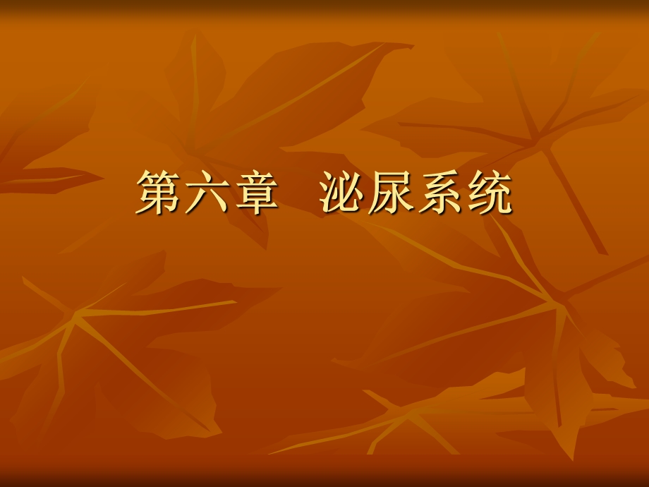 《肾的微细结构》PPT课件.ppt_第1页