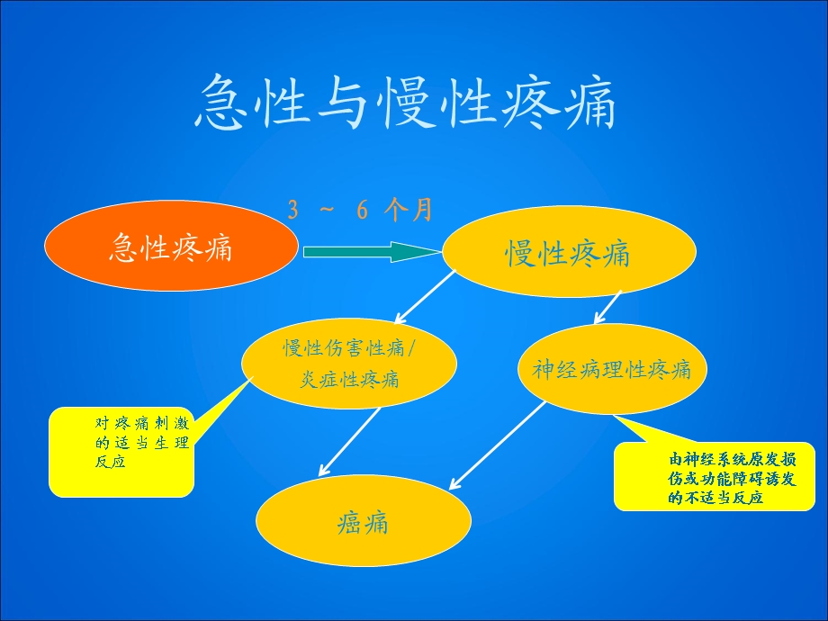 《神经性疼痛》PPT课件.ppt_第2页