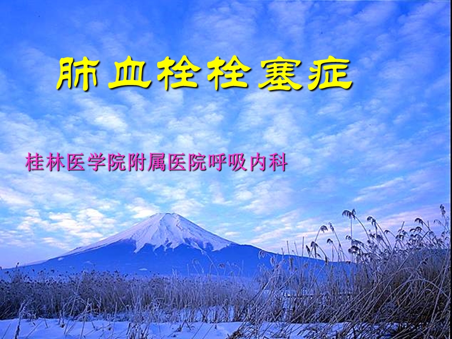 《肺血栓栓塞症》PPT课件.ppt_第1页