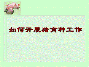 《猪的育种方案》PPT课件.ppt