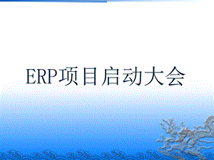 ERP项目启动大会.ppt