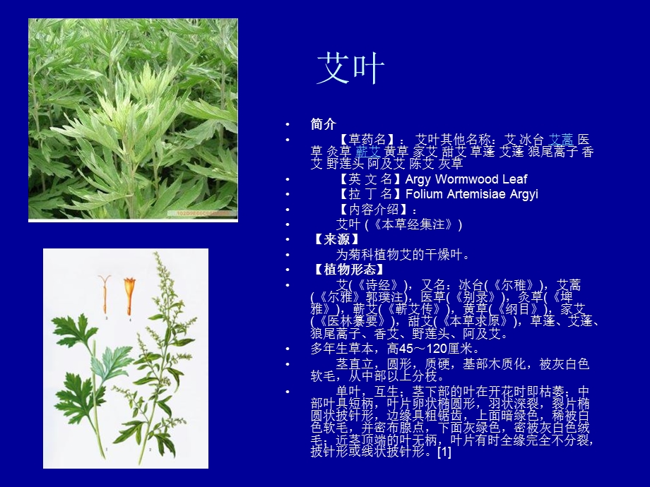 《园林植物分析》PPT课件.ppt_第2页