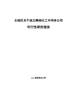 北碚区关于成立精细化工中间体公司可行性研究报告.docx