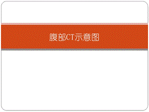 《腹部CT示意》PPT课件.ppt