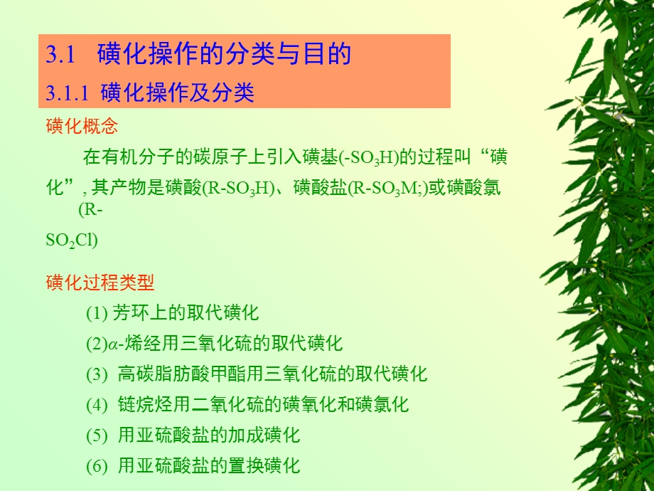 《磺化过程》PPT课件.ppt_第2页