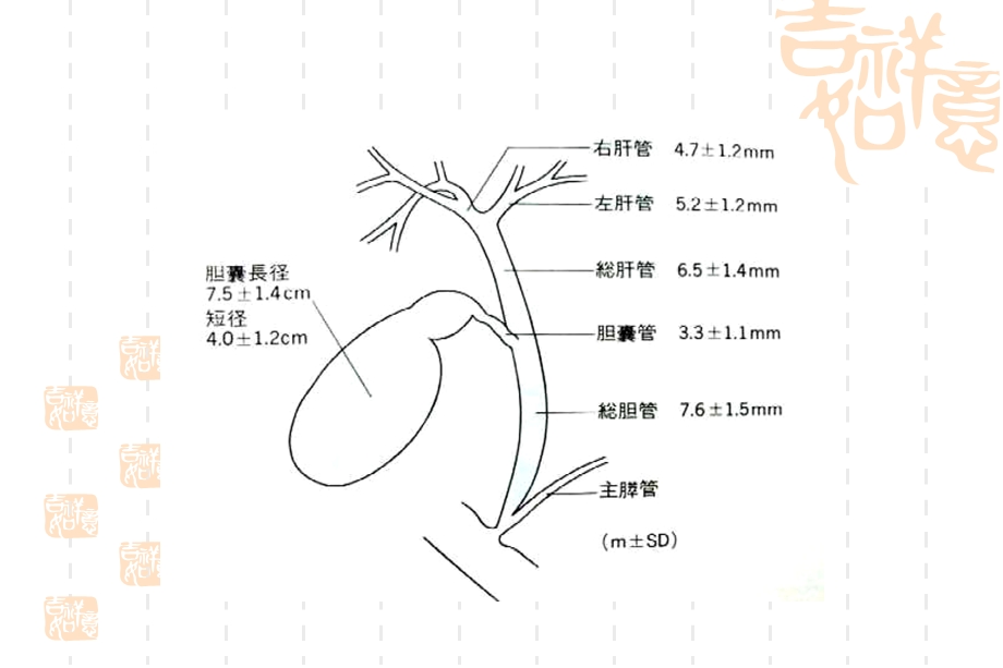 《ERCP的护理》PPT课件.ppt_第3页