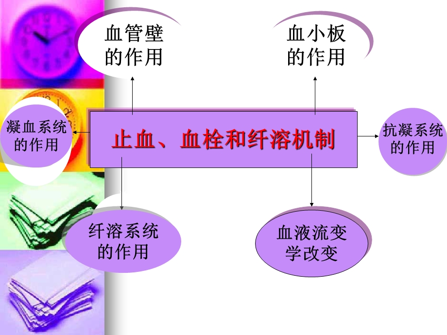 《检验科基培训》PPT课件.ppt_第2页