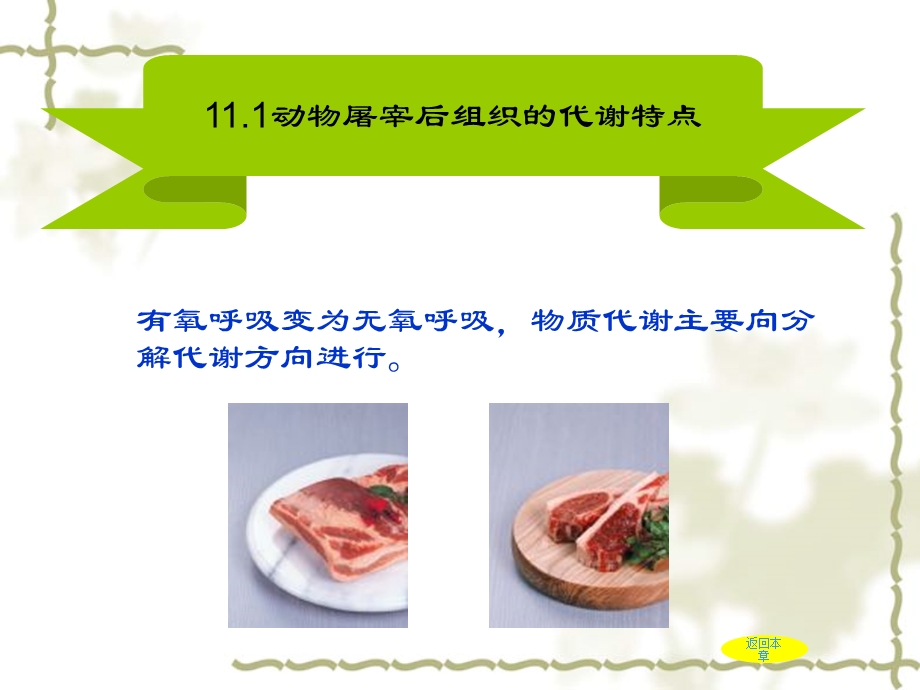 新鲜动植物食品中的组织代谢特点].ppt_第3页