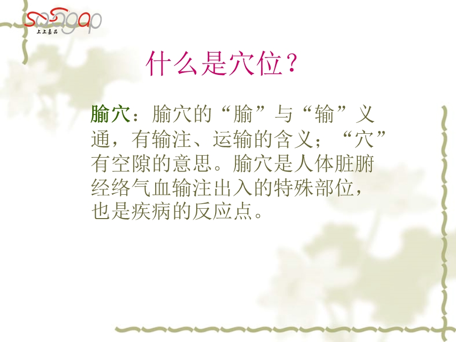 《穴位专业知识》PPT课件.ppt_第2页