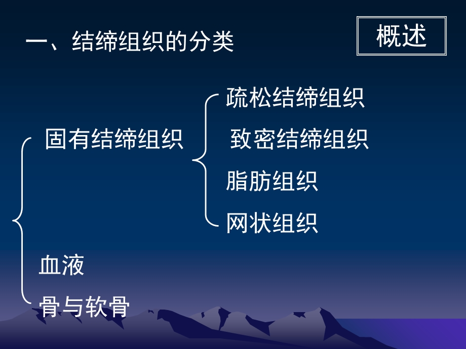 《结缔组织授课用》PPT课件.ppt_第3页