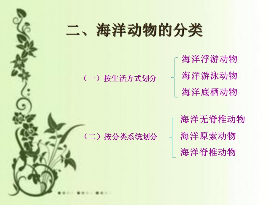 《海洋无脊椎动物》PPT课件.ppt_第3页