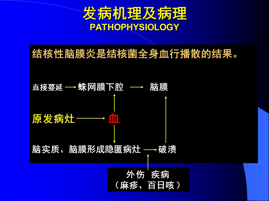 《结核性脑膜炎》PPT课件.ppt_第3页