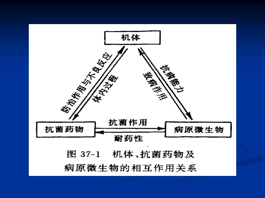 《抗菌药物概论》PPT课件.ppt_第3页