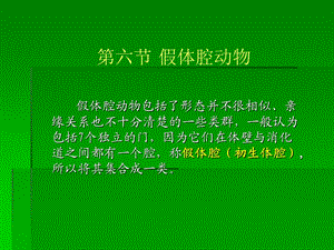 《假体腔动物》PPT课件.ppt