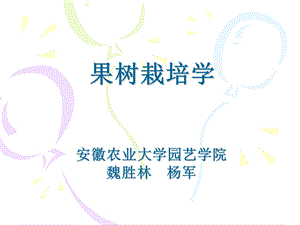 《果树栽培学》PPT课件.ppt