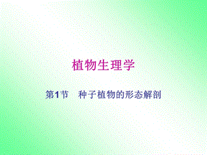 《植物与生理学》PPT课件.ppt