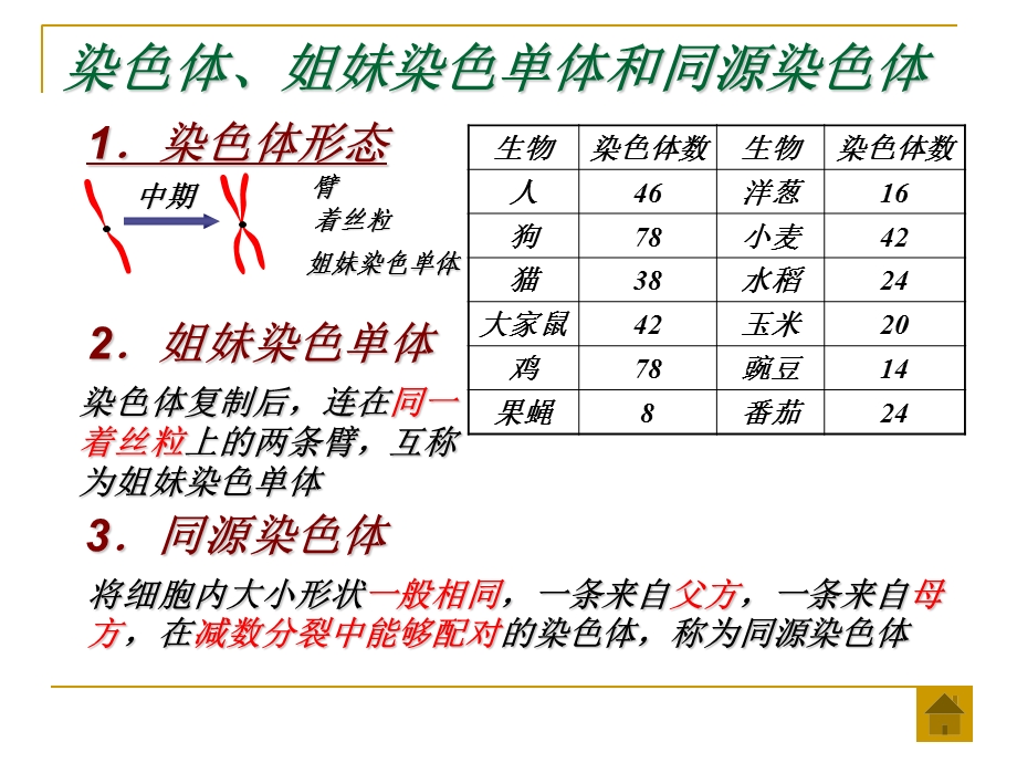 《染色体与遗传》PPT课件.ppt_第3页