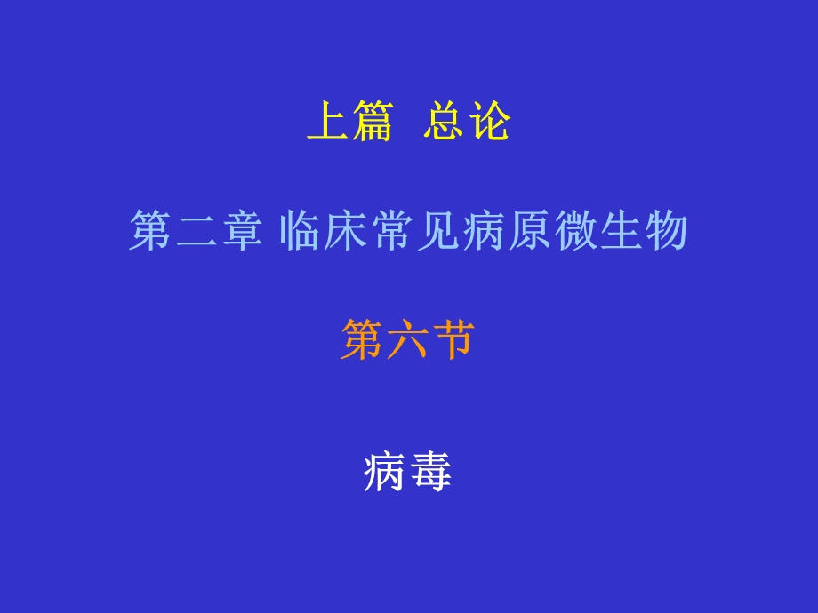 《病毒王爱霞》PPT课件.ppt_第1页