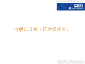 《电解点和开关》PPT课件.ppt