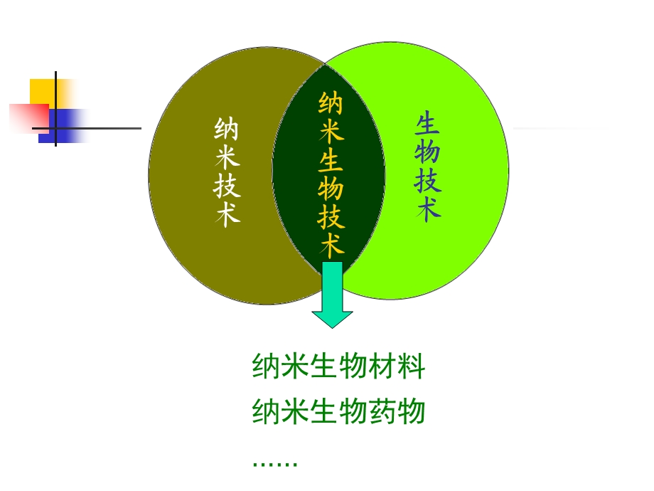 《纳米药物载体》PPT课件.ppt_第2页