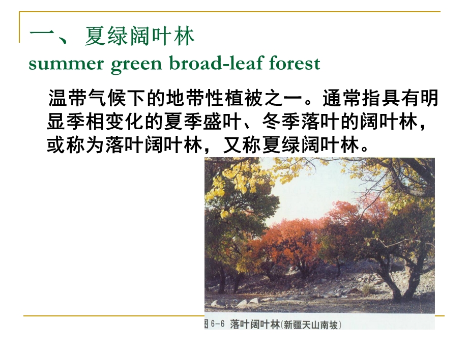 《温带植被类型》PPT课件.ppt_第2页